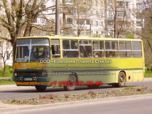 Стекло для городской автобус Ikarus 260.18