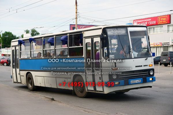 Стекло для городской автобус Ikarus 260.51