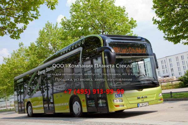 Стекло для городской автобус Man Lion's City Hybrid