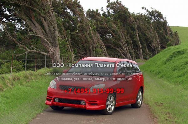 Стекло для Toyota Matrix XRS хетчбэк 2002 - 2008, 1 поколение